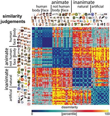 Deep Convolutional Neural Networks Outperform Feature-Based But Not Categorical Models in Explaining Object Similarity Judgments